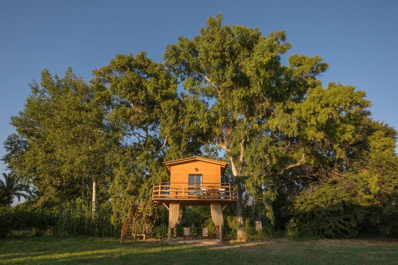 River Treehouse ลากานาส ภายนอก รูปภาพ